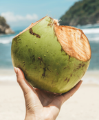 Cloud Nine Coconut Body Balm
