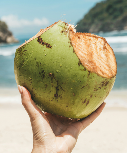 Cloud Nine Coconut Body Balm